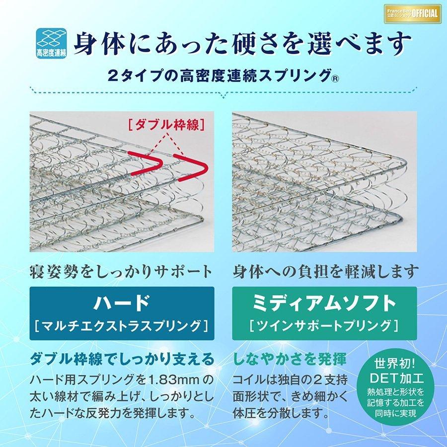 フランスベッド（FRANCEBED） ダブル LT-5000 α ライフトリートメント