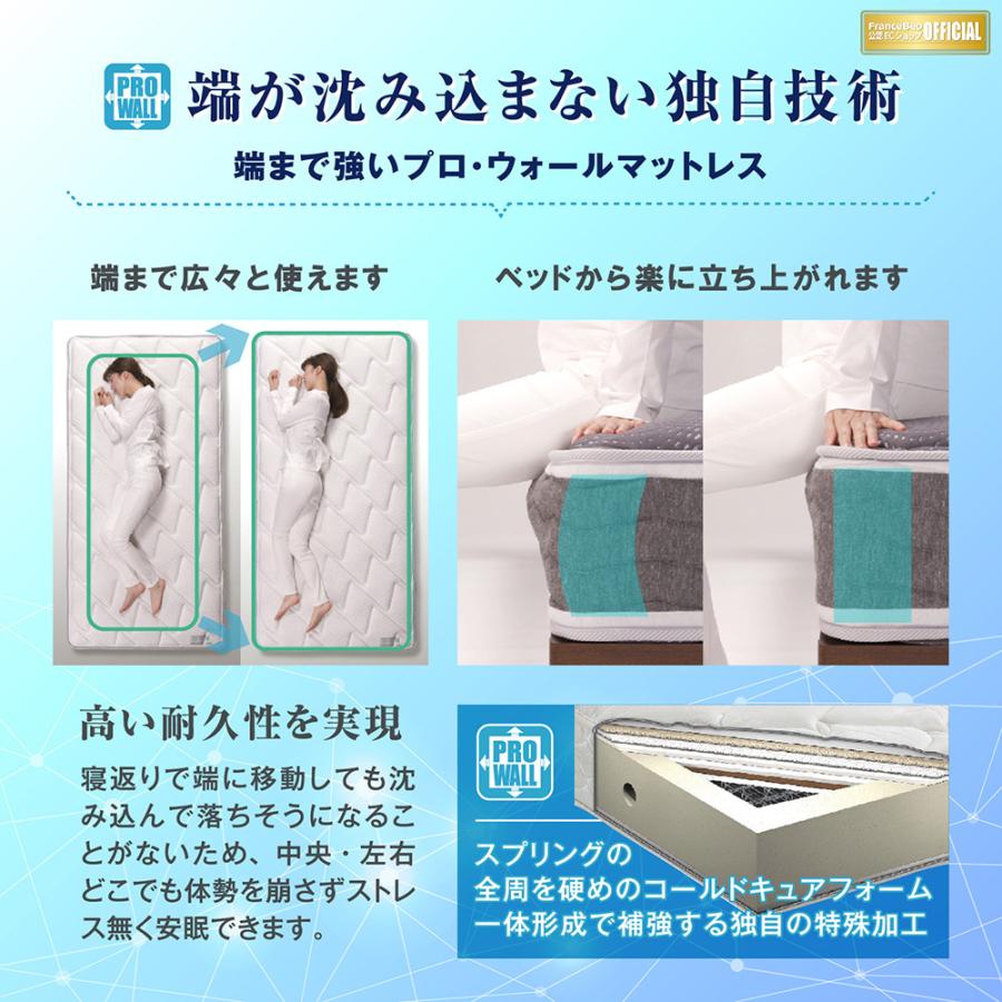 フランスベッド ダブル LT-5500 α ライフトリートメント フランスベッド ダブル LT-5500 α ライフトリートメント