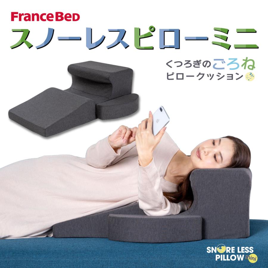 フランスベッド（FRANCEBED） まくら スノーレスピロー ミニ いびき