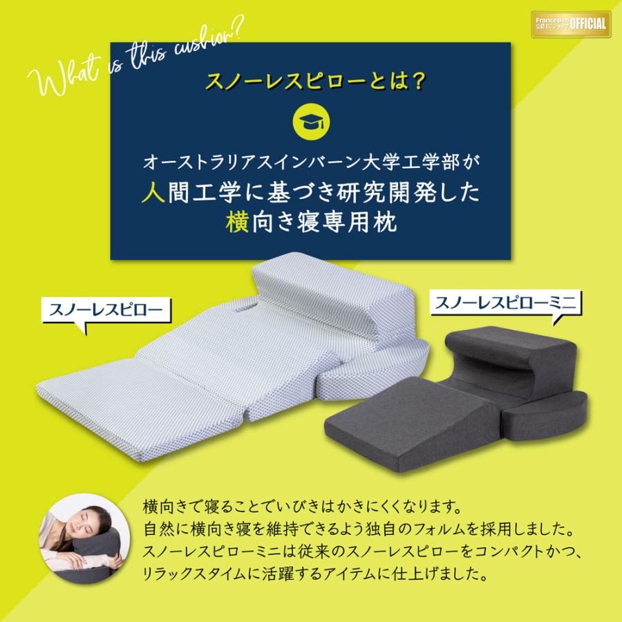 フランスベッド（FRANCEBED） まくら スノーレスピロー ミニ いびき