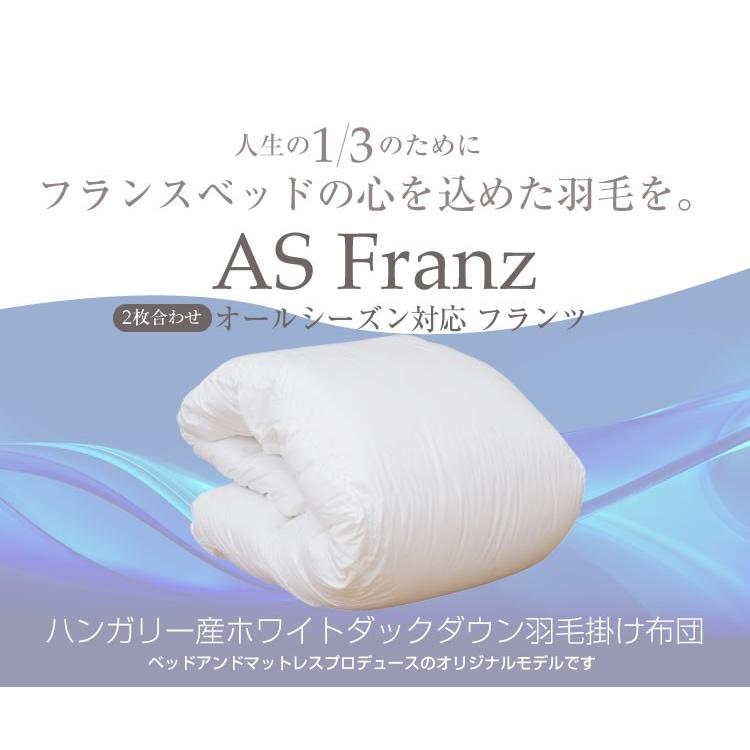 フランスベッド オールシーズン対応羽毛ふとん ダブル