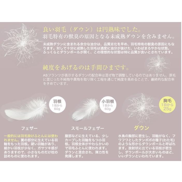 フランスベッド（FRANCEBED） オールシーズン対応羽毛ふとん ダブル