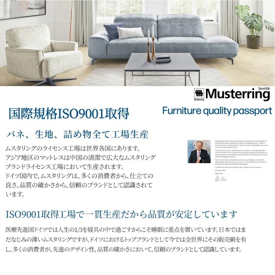 腰痛対策 ランバーサポート マットレス セミダブル ムスタリング 体圧