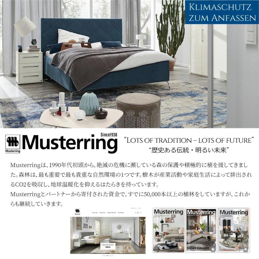 腰痛対策 ランバーサポート マットレス セミダブル ムスタリング 体圧