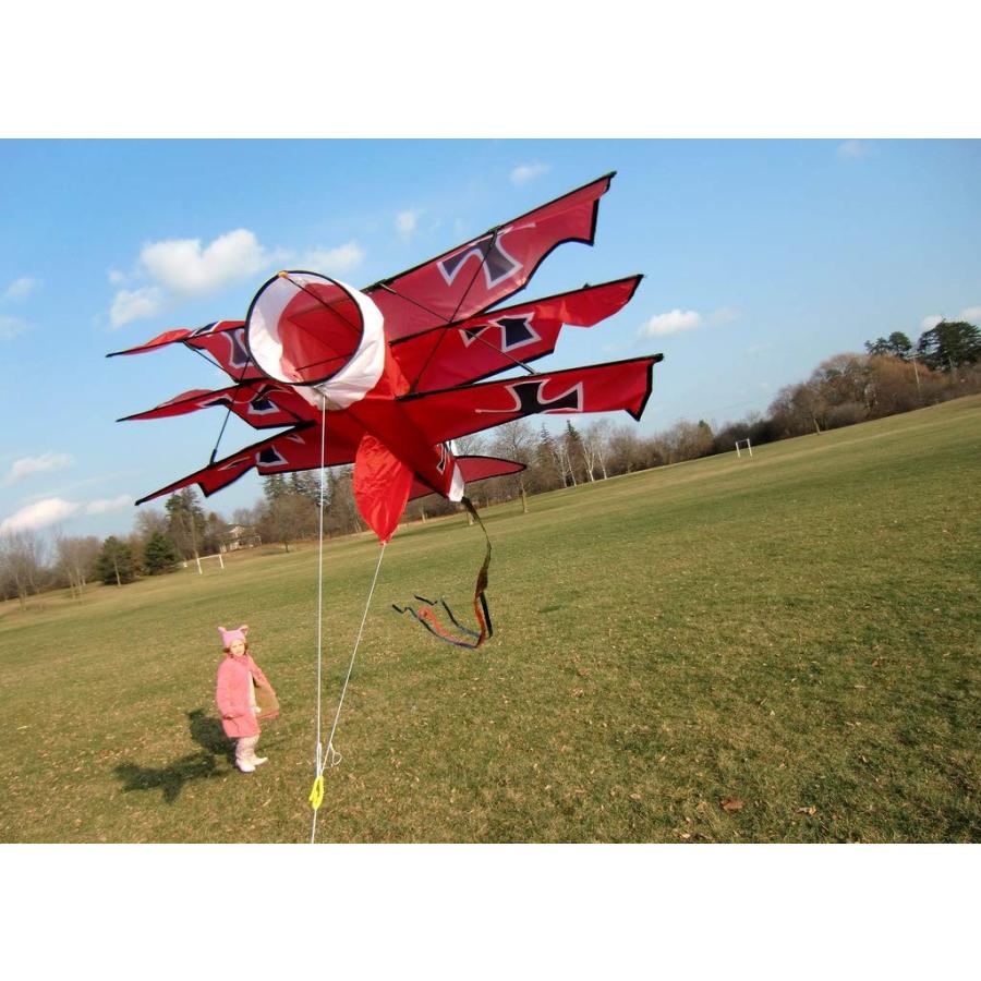 凧 凧揚げ カイト 飛行機 ジェット機 戦闘機 凧あげ お正月 おもちゃ 子供 3dナイロン 立体 スーパーサイズシリーズ 10 2873 Bee8 通販 Yahoo ショッピング