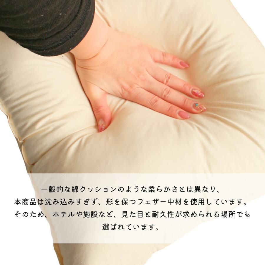 ヌードクッション スモールフェザー 48×48 羽毛 クッション 中身