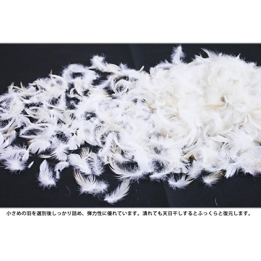 ヌードクッション スモールフェザー 48×48 羽毛 クッション 中身