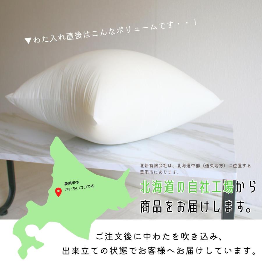 ヌードクッション 45×45 4個セット 日本製 クッションカバー用 肉厚