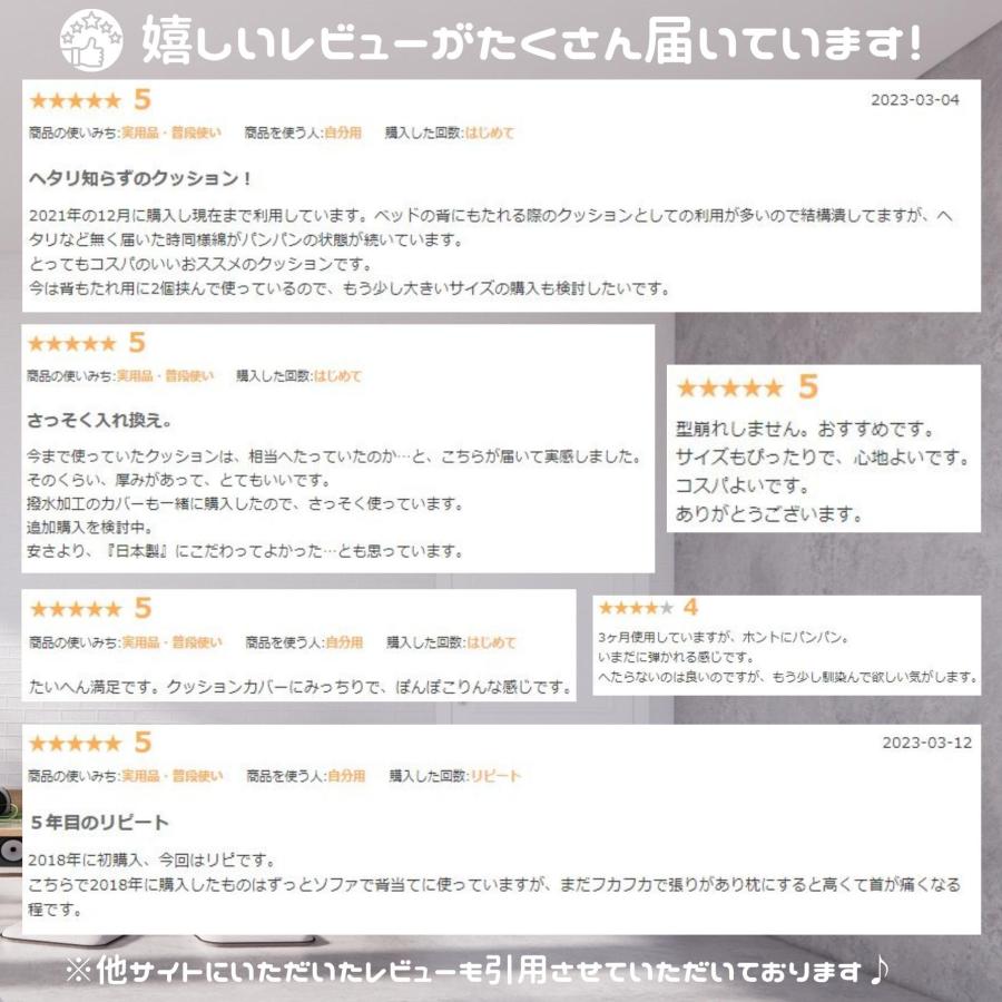 ヌードクッション 肉厚 45×45 2個セット 日本製 送料無料 クッション 中身 クッションカバー用 セアテ 背当て 佐川またはヤマト便｜beeb-y｜07