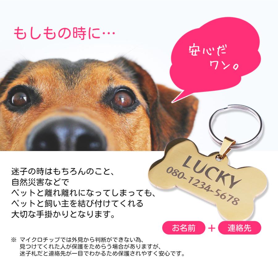 迷子札 名入れ BIGサイズ 大きめ ほね型 犬 いぬ ペット用品