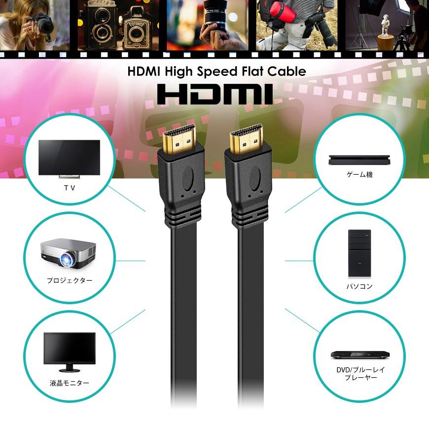 VISION HDMIケーブル フラットケーブル 10m 超薄型 平型 ハイスピード