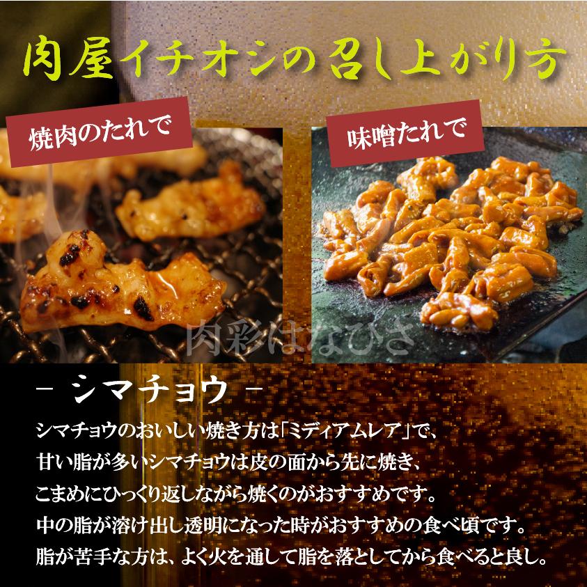 国産牛 ホルモン シマチョウ とろテッチャン 720g 焼肉 BBQ 180g × 4パック 焼き肉 ホルモン焼き 送料無料 高級 | 上州牛 | 03