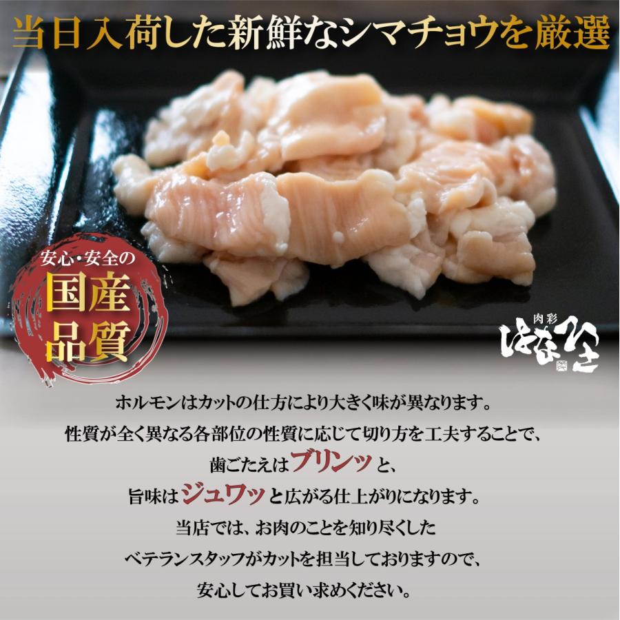 国産牛 ホルモン シマチョウ とろテッチャン 720g 焼肉 BBQ 180g × 4パック 焼き肉 ホルモン焼き 送料無料 高級 | 上州牛 | 04