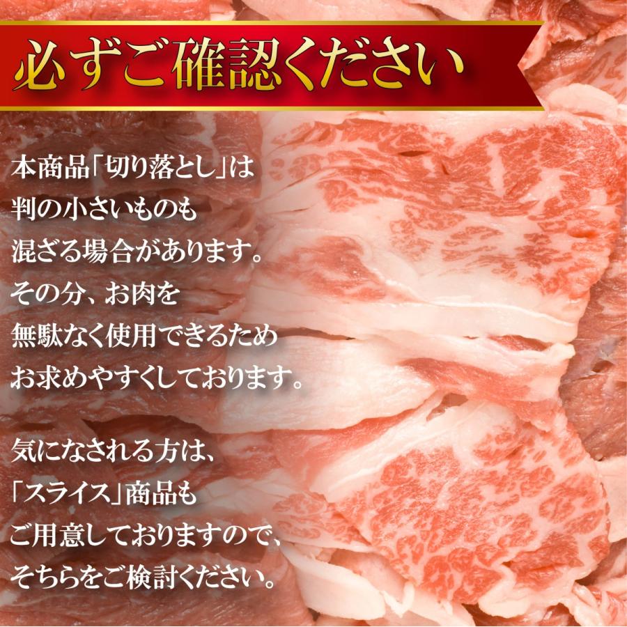 肉 牛肉 霜降り切り落とし 上州牛 800g OPEN記念セール おまとめ割 送料無料 400g × 2パック カルビ スライス お歳暮 牛丼 プルコギ 国産牛 訳あり お取り寄せ | 上州牛 | 07