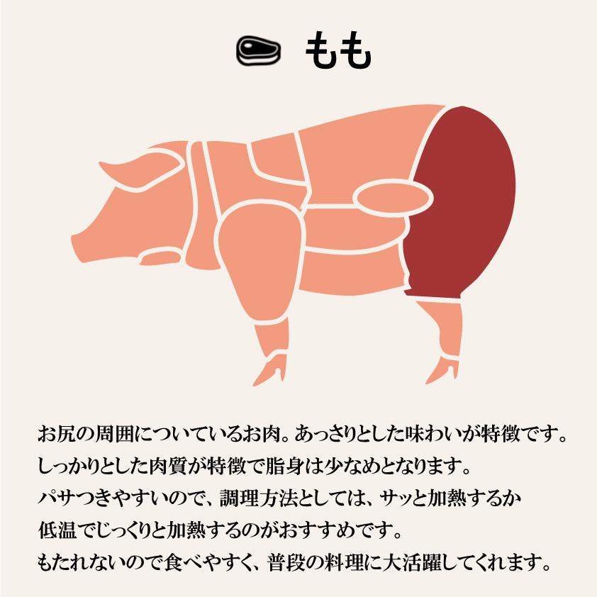 国産 豚肉 ロース ブロック おウチでチャーシューセット 上州三元もち豚 1kg ネット付き タコ糸 ローストポーク用 チャーシュー用 叉焼 送料無料 業務用 塊肉 | 上州もち豚 | 03