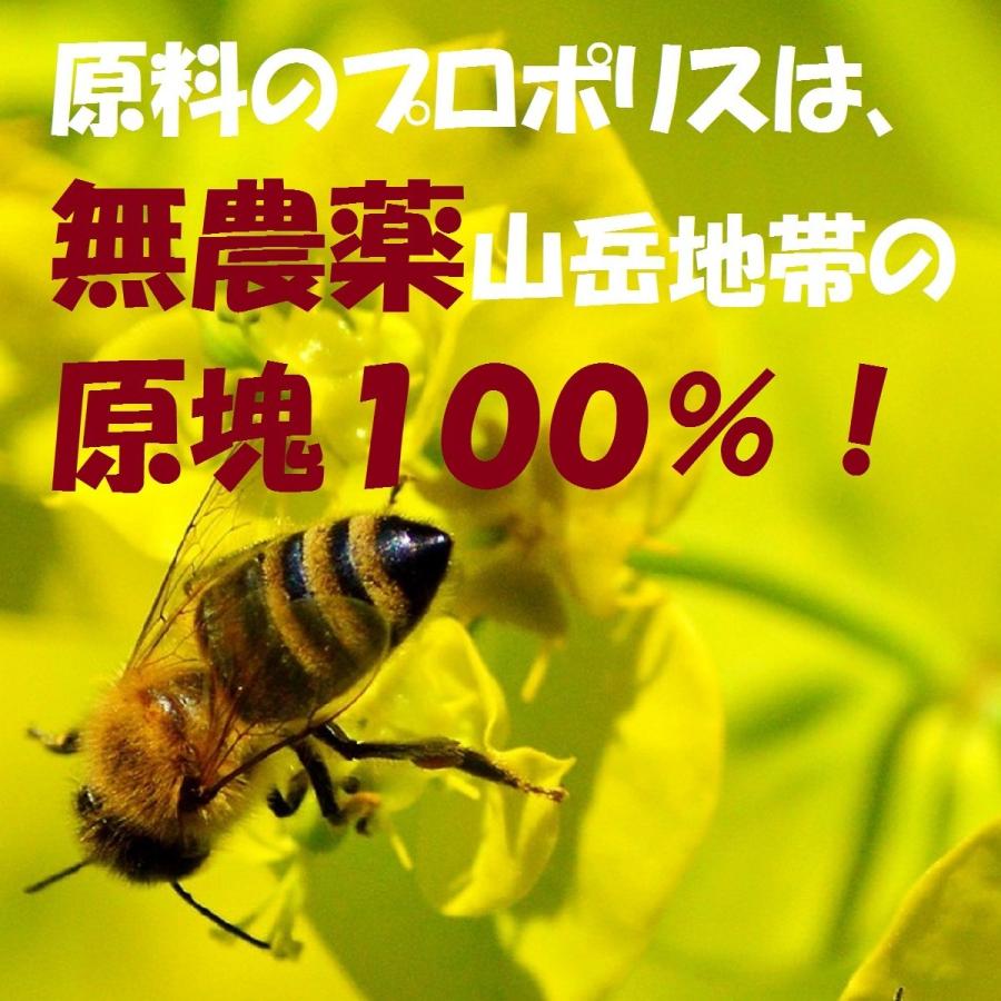 メーカー&店長一押し！ ブラジル ミナス州産 100% 「プレミアム品質」 グリーン プロポリス ゴールデン 原液 液体 30ml ポリフェノールなど1年熟成抽出｜beegrace｜04