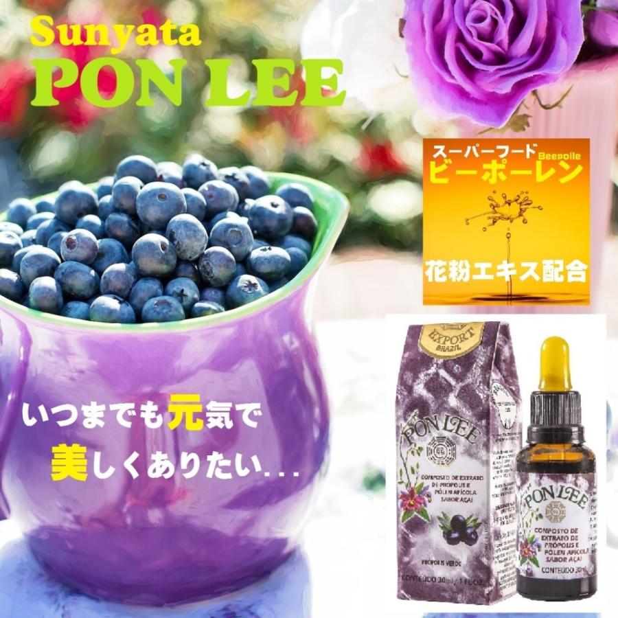 花粉 エキス配合 プロポリス アサイーベリー 風味 液体 ブラジル ミナスジェライス州産 グリーンプロポリス エキス 原液 天然 サプリメント Propolis Pollen Acai Bee Grace 高品質ブラジル産直輸入 通販 Yahoo ショッピング