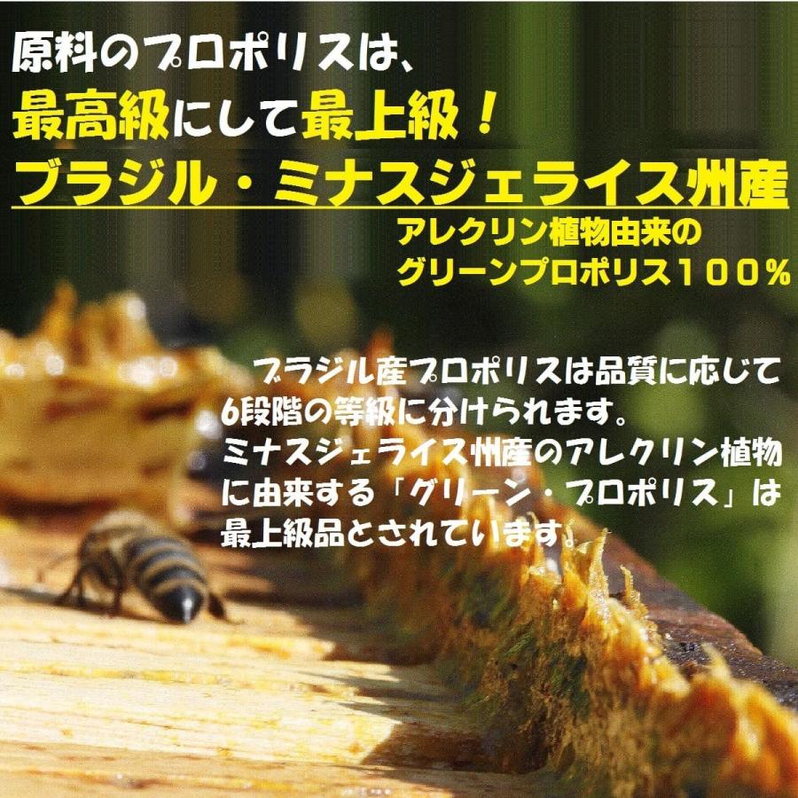 ブラジル産 プロポリス 液体 ビーポーレン 花粉 配合 評価aランク ミナス州 グリーンプロポリス 100 1年熟成でアルテピリンcなど栄養を十分に抽出 原液 Propolis Pollen プロポリス専門店 Bee Grace 通販 Yahoo ショッピング