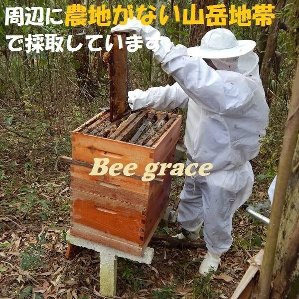 ブラジル産 プロポリス 液体 ビーポーレン 花粉 配合 評価aランク ミナス州 グリーンプロポリス 100 1年熟成でアルテピリンcなど栄養を十分に抽出 原液 Propolis Pollen プロポリス専門店 Bee Grace 通販 Yahoo ショッピング