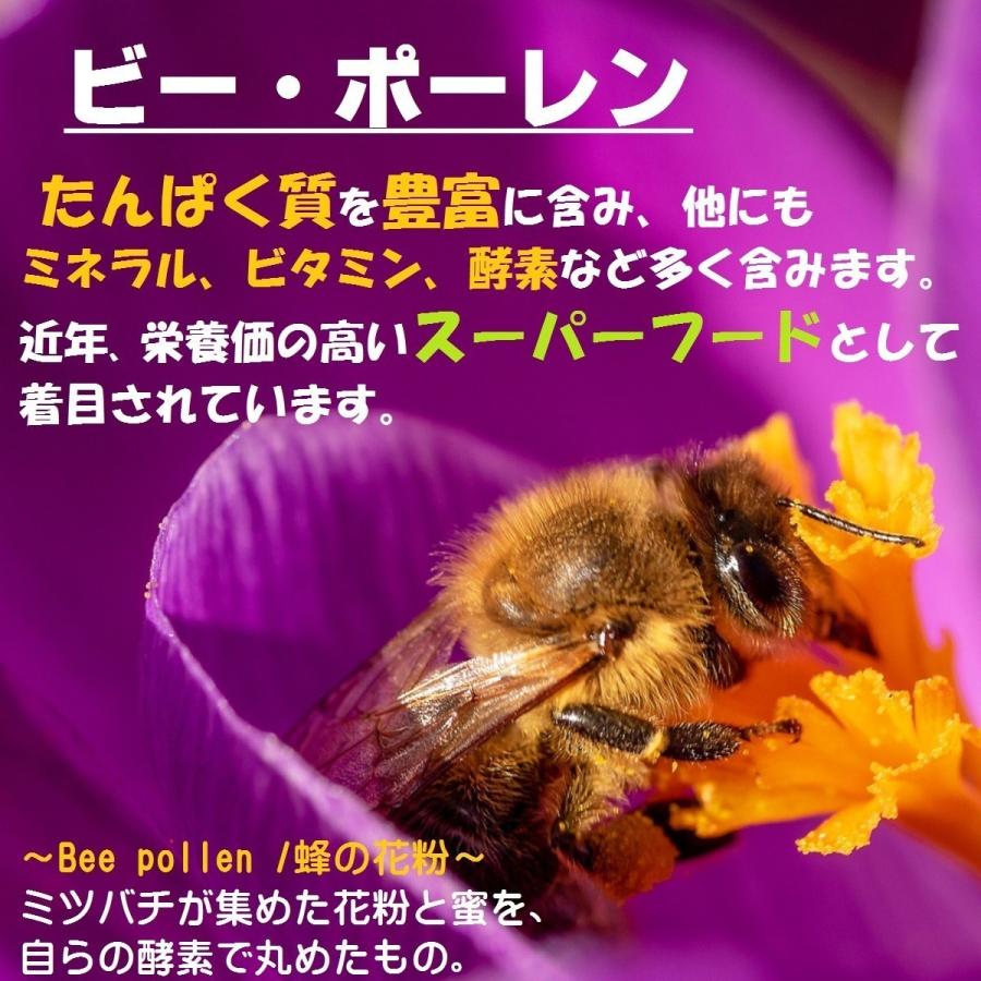 ブラジル産 プロポリス 液体 ビーポーレン 花粉 配合 評価aランク ミナス州 グリーンプロポリス 100 1年熟成でアルテピリンcなど栄養を十分に抽出 原液 Propolis Pollen プロポリス専門店 Bee Grace 通販 Yahoo ショッピング
