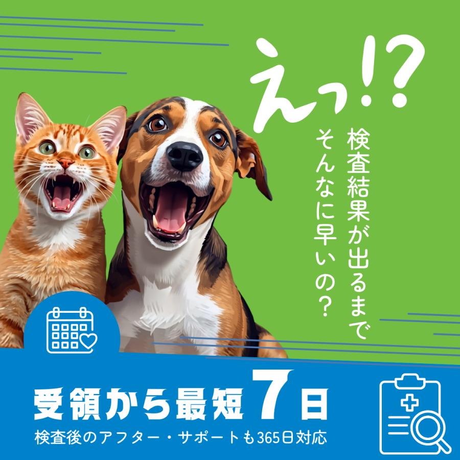 犬・猫用 不耐性・アレルギー体質チェック アレミッケ（2頭分「2個