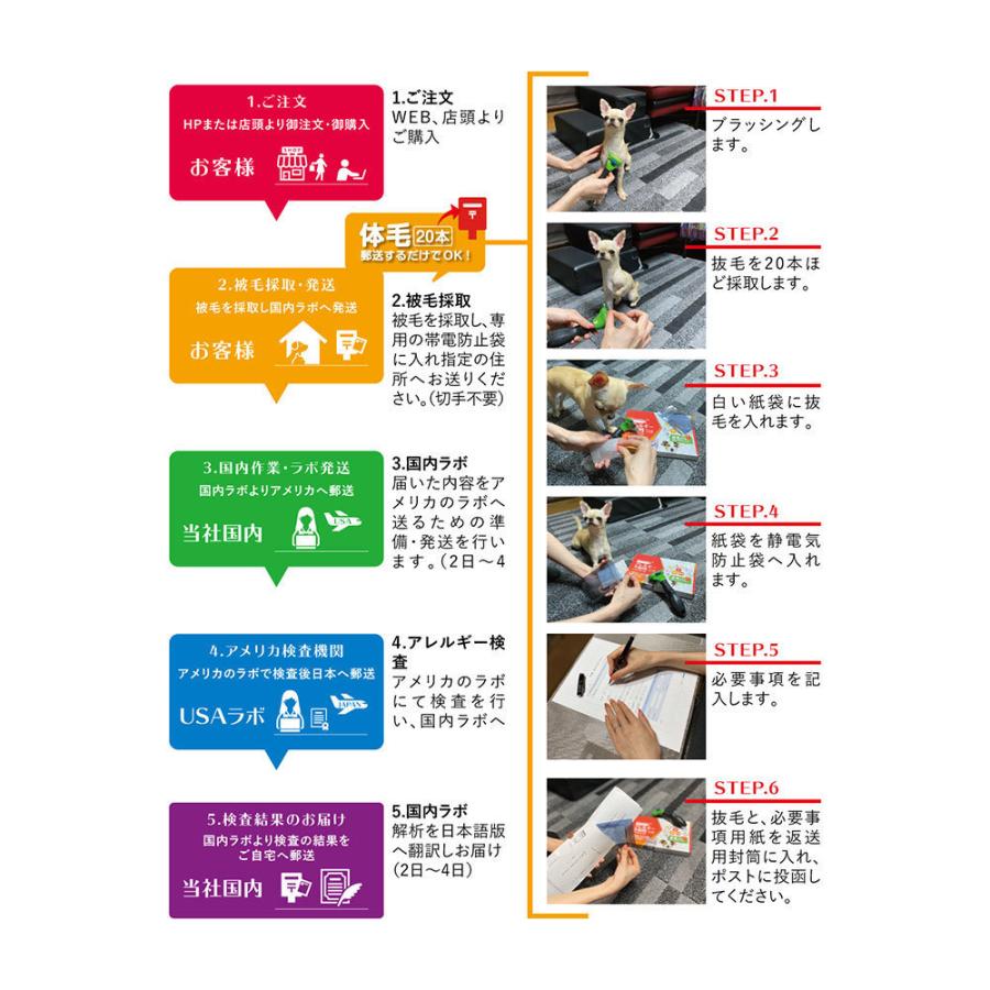話題の人気のペットアレルギー検査 3頭分 業界一の372項目 ペット用のアレルギー検査キットのアレミッケは 国外の専門化から犬 猫の毛からアレルギー を見つけ出すことができます Ar 003 ペットアレルギー検査 体毛を本送るだけ Ar 003 Beelux 3頭分 業界一