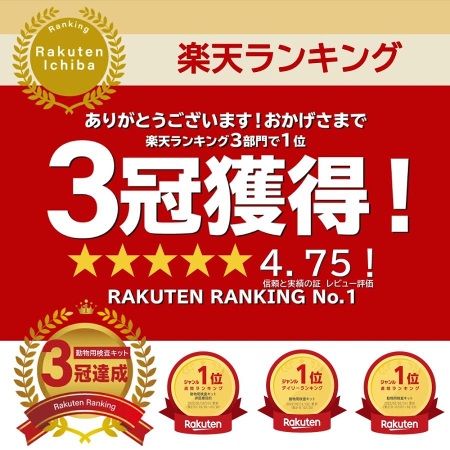 【即購入⭕️】 ペットアレルギー検査 アレミッケ （3頭分）業界最多の393項目 犬 猫 体毛を20本送るだけ 不耐性 症状 涙やけ 皮膚炎 下痢 【1027361945】(35937円)