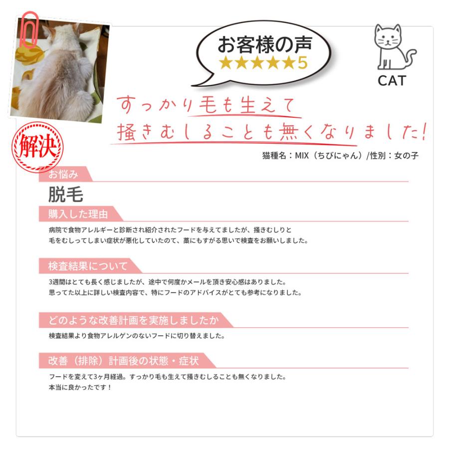 【即購入⭕️】 ペットアレルギー検査 アレミッケ （3頭分）業界最多の393項目 犬 猫 体毛を20本送るだけ 不耐性 症状 涙やけ 皮膚炎 下痢 【1027361945】(35937円)