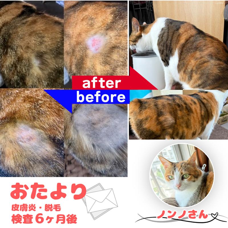 犬・猫用 不耐性・アレルギー体質チェック アレミッケ（5頭分「5個