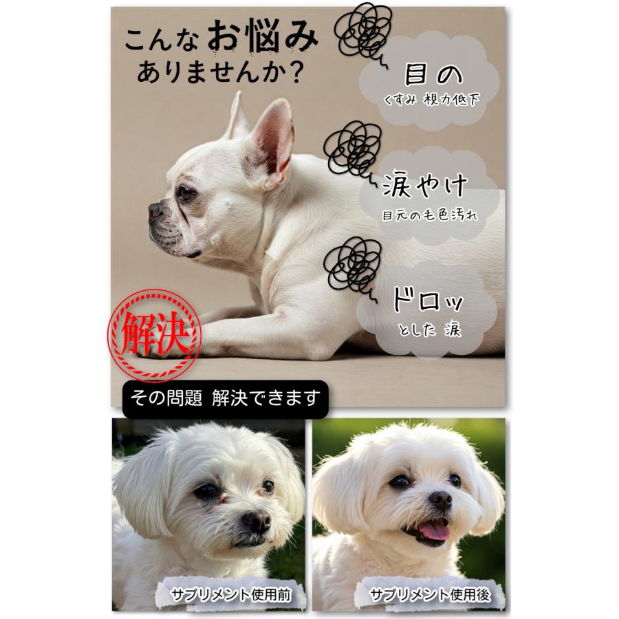 獣医師推奨】犬猫用サプリ 涙美｜瞳と腸をWサポート｜涙やけ・目の悩み