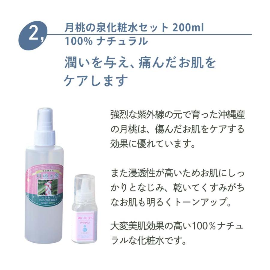 ニキビのあとスキンケアセット大人ニキビ、にきび跡 吹き出物 ニキビ にきび 洗顔石鹸、化粧水、ジェル、スキンケアオイル | オーガニック | 05