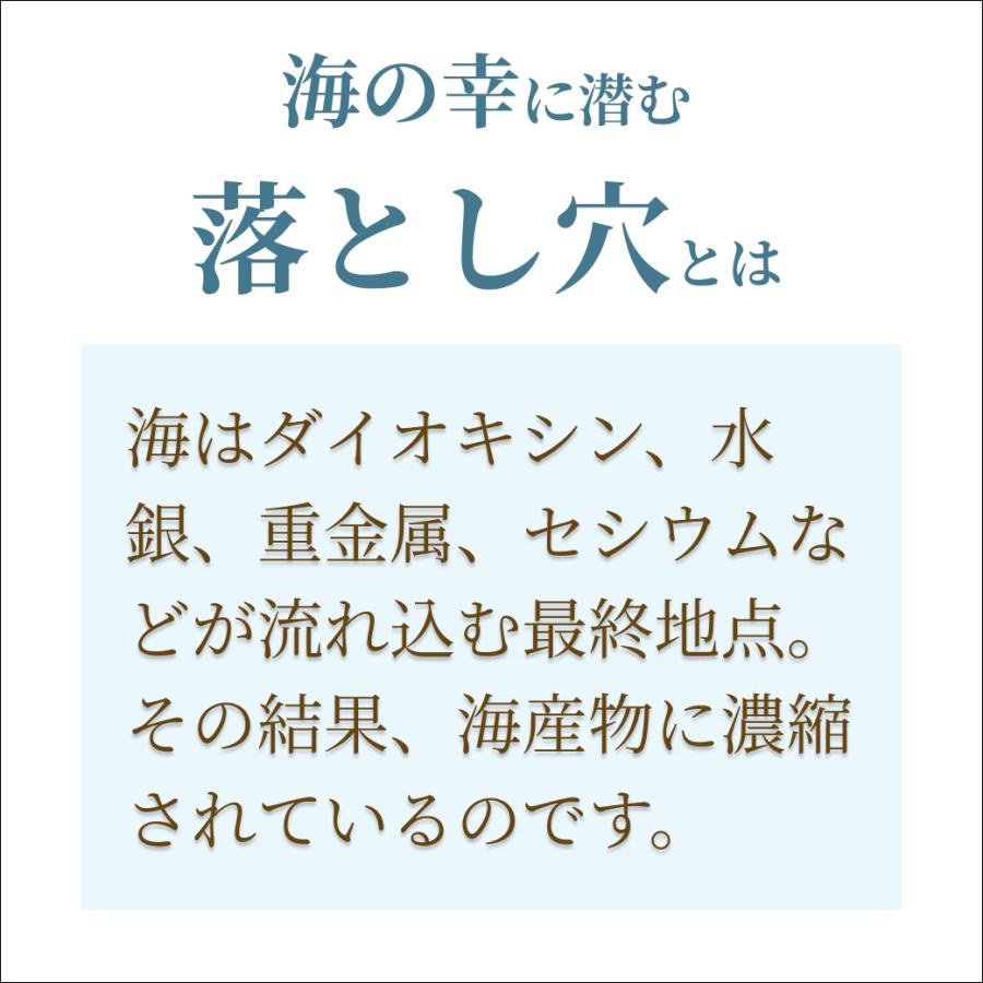 デトックス Detox アクティバ サプリ 45粒 美容 50歳 妊婦 妊娠中 妊活 サプリメント ACTIVA | オーガニック | 02