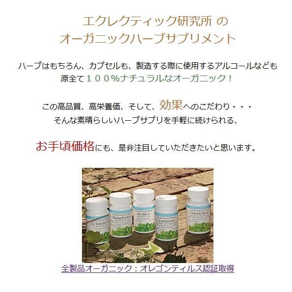 クランベリー 90粒 オーガニック アントシアニン ビタミンC ポリフェノール エクレクティック | ECLECTIC（サプリメント） | 07