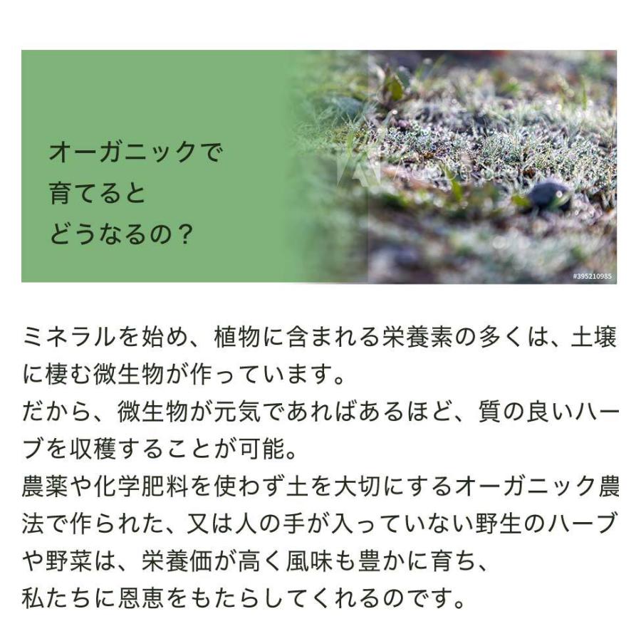 エキナセアチンキ サプリ 2オンス（60mls）サプリ エクレクティック エキナセア エキナシア オーガニック ハーブ サプリメント | ECLECTIC（サプリメント） | 04