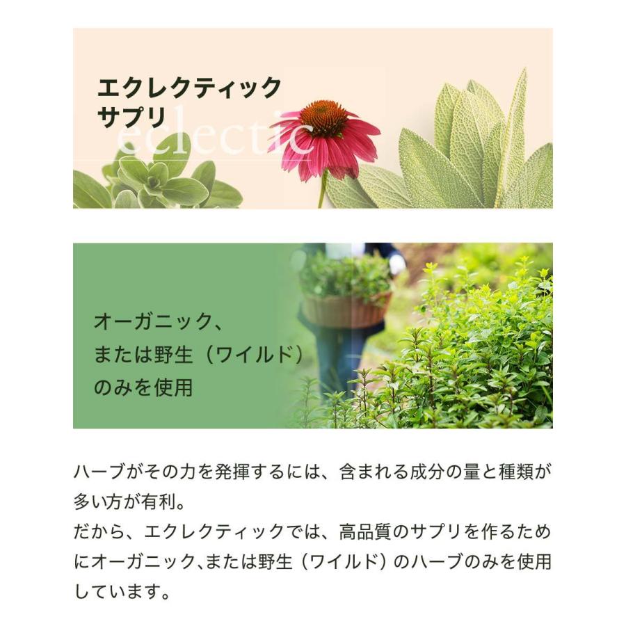 フィーバーフュー (ナツシロギク） 45粒 サプリ エクレクティック 夏白菊 フィーヴァーフュー オーガニック ハーブ パルテノライド サプリメント | ECLECTIC（サプリメント） | 03