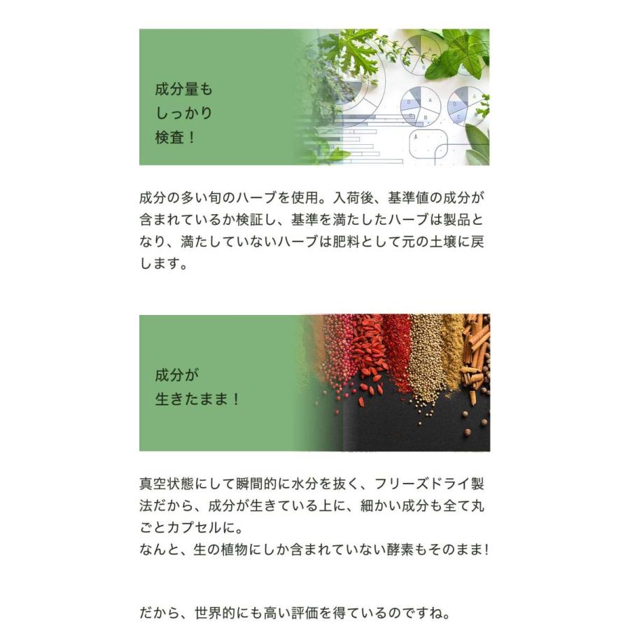 フィーバーフュー (ナツシロギク） 45粒 サプリ エクレクティック 夏白菊 フィーヴァーフュー オーガニック ハーブ パルテノライド サプリメント | ECLECTIC（サプリメント） | 05