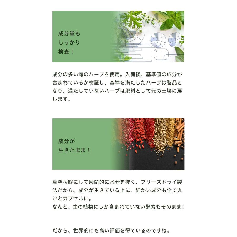 ネトル（イラクサ）90粒 サプリ エクレクティック 花粉 鉄分 葉酸 オーガニック | ECLECTIC（サプリメント） | 05