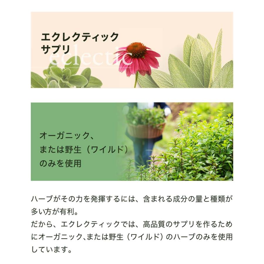 ネトル（イラクサ）45粒 サプリ エクレクティック 花粉 鉄分 葉酸 オーガニック | ECLECTIC（サプリメント） | 03
