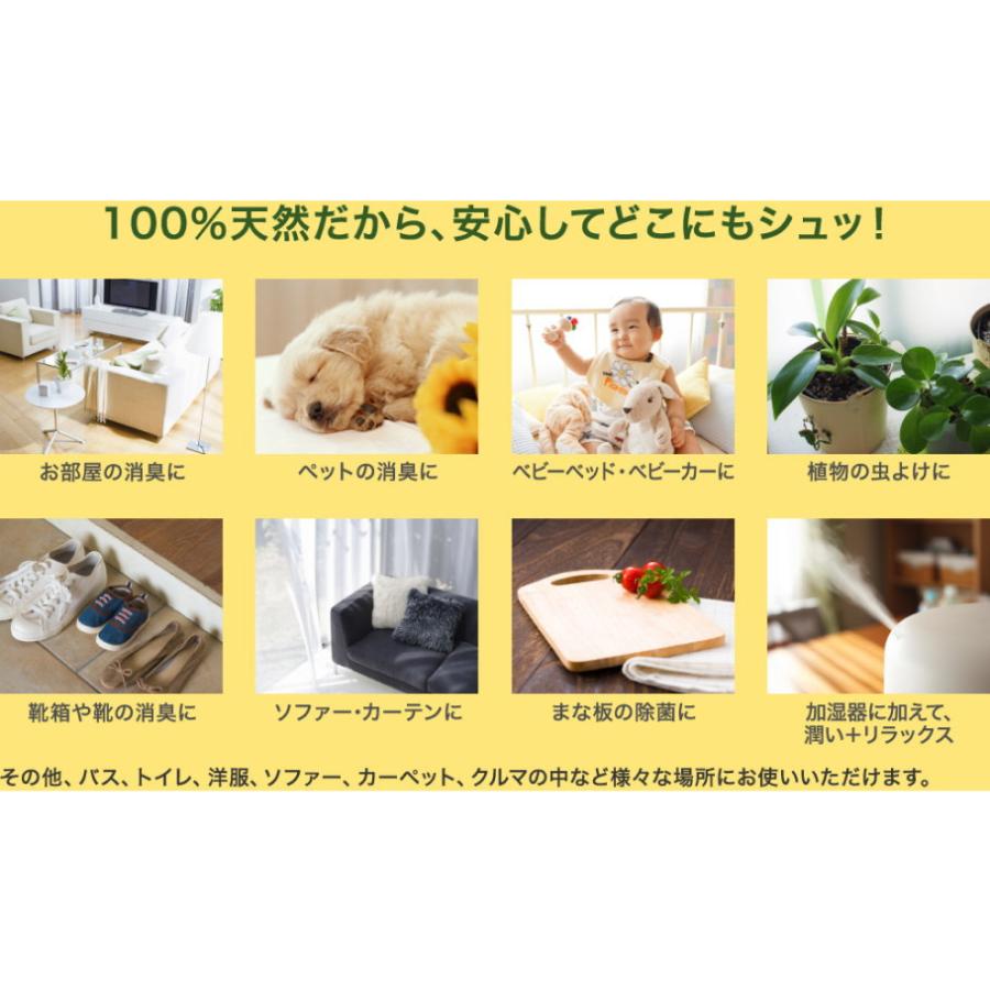 木曽檜300年の眠り 500ml 消臭スプレー グリーンレター 無添加 100％ナチュラル 消臭 除菌スプレー | オーガニック | 02