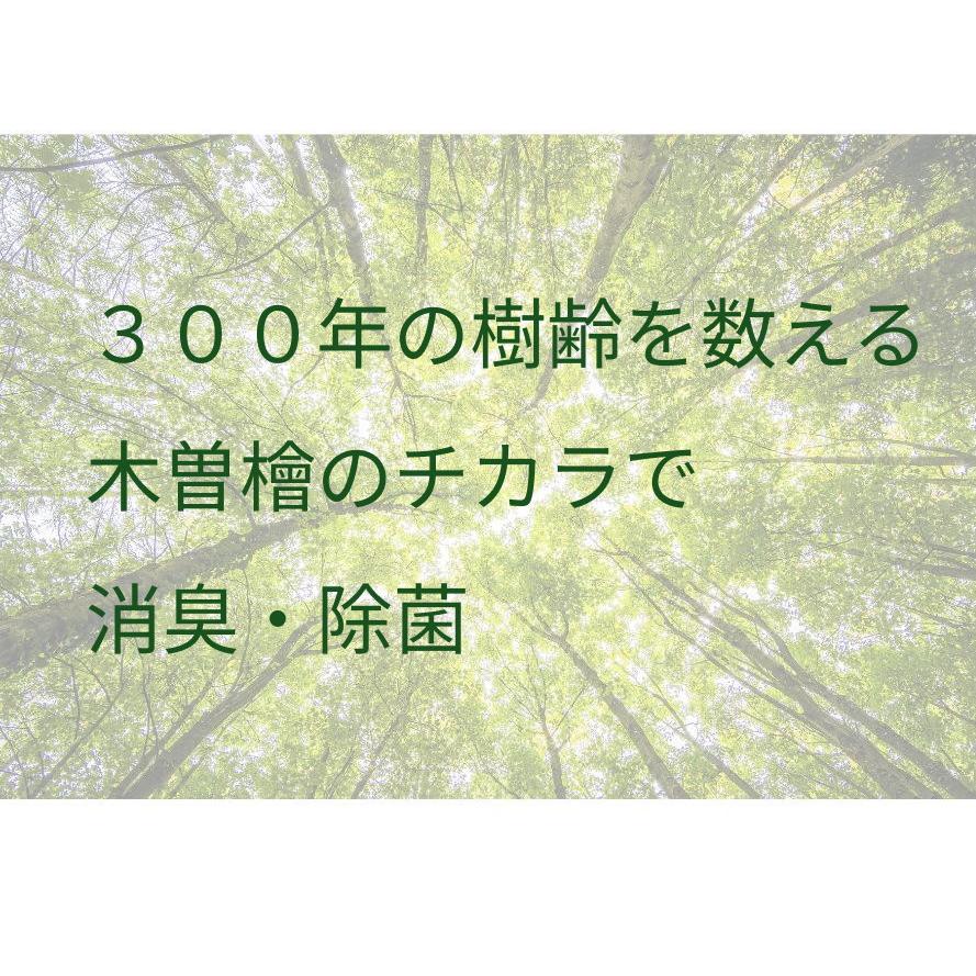 木曽檜300年の眠り 500ml 消臭スプレー グリーンレター 無添加 100％ナチュラル 消臭 除菌スプレー | オーガニック | 04