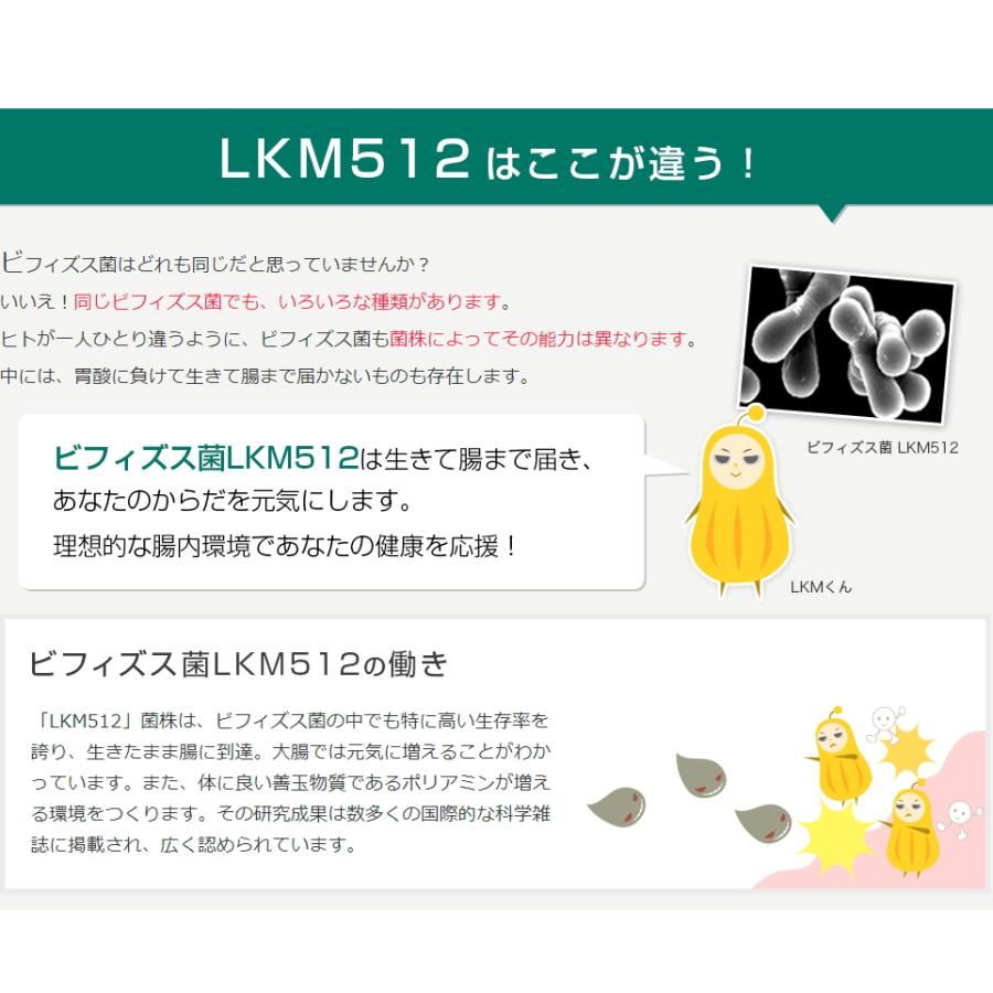 お得な6個組 ビフィズス菌 LKM512顆粒スティック 協同乳業（メイトー）腸内環境改善 腸内フローラ 善玉菌 サプリメント 機能性表示食品｜beenatural｜03