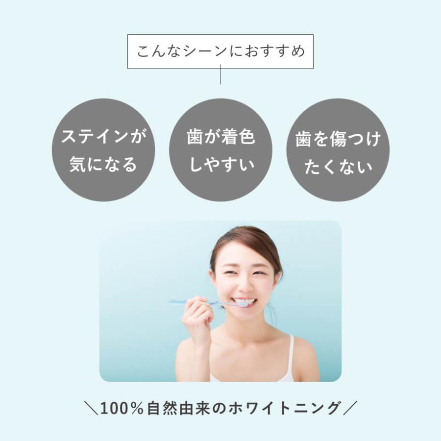 ホワイトニング トゥースペースト 無添加 オーガニック 歯磨き粉 マグネシウム シルクパウダー フッ素不使用 研磨剤不使用 発泡剤不使用 だいじょうぶなもの | だいじょうぶなもの | 02