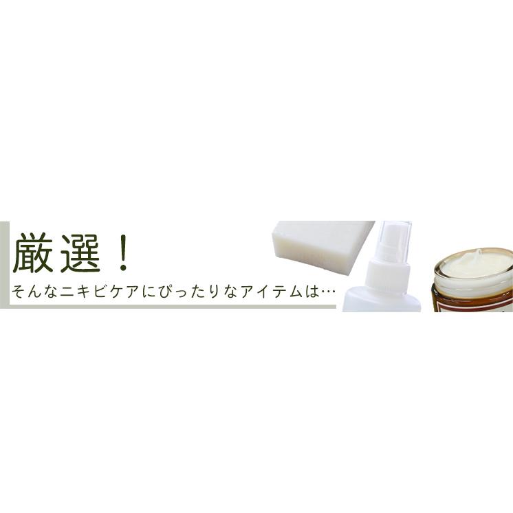 オーガニック ニキビ対策セット ニキビケア ニキビ予防 ティートリー