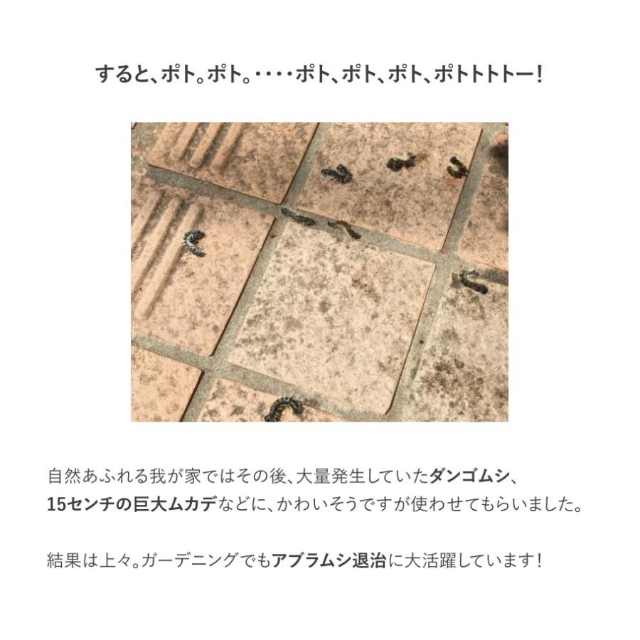 超お得な30本 トコジラミ スプレー フェール ピレカロール 天然成分 殺虫 蚊よけ 虫よけ 防虫 害虫駆除剤 250ml 防除医薬部外品 ゴキブリ ノミ 南京虫 | オーガニック | 08