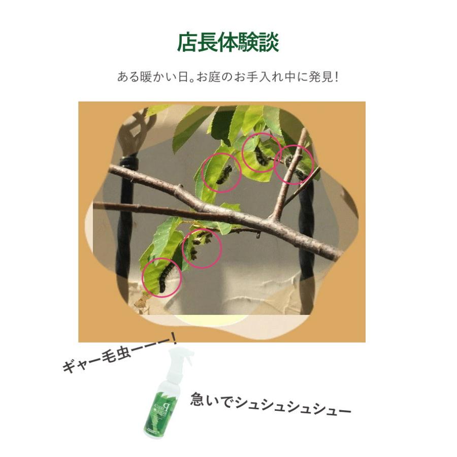 携帯サイズ トコジラミ スプレー フェール ピレカロール 天然成分 殺虫 蚊よけ 虫よけ 防虫 害虫駆除剤 110ml 防除医薬部外品 ゴキブリ ノミ 南京虫 | オーガニック | 07