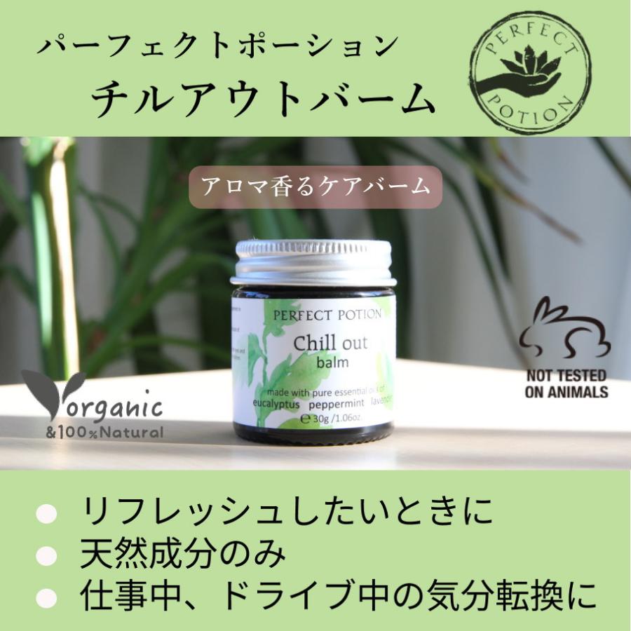 PERFECT POTION（パーフェクトポーション） しっかりミント