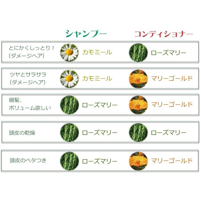 コンディショナー 500ml ローズマリーパーフェクトポーション髪や頭皮の乾燥 抜け毛 薄毛 頭皮の健康が気になる方にperfect Potion ノンシリコン 無添加 Pp Conditioner Rosemary M ミロビーナ 美ナチュラル 通販 Yahoo ショッピング
