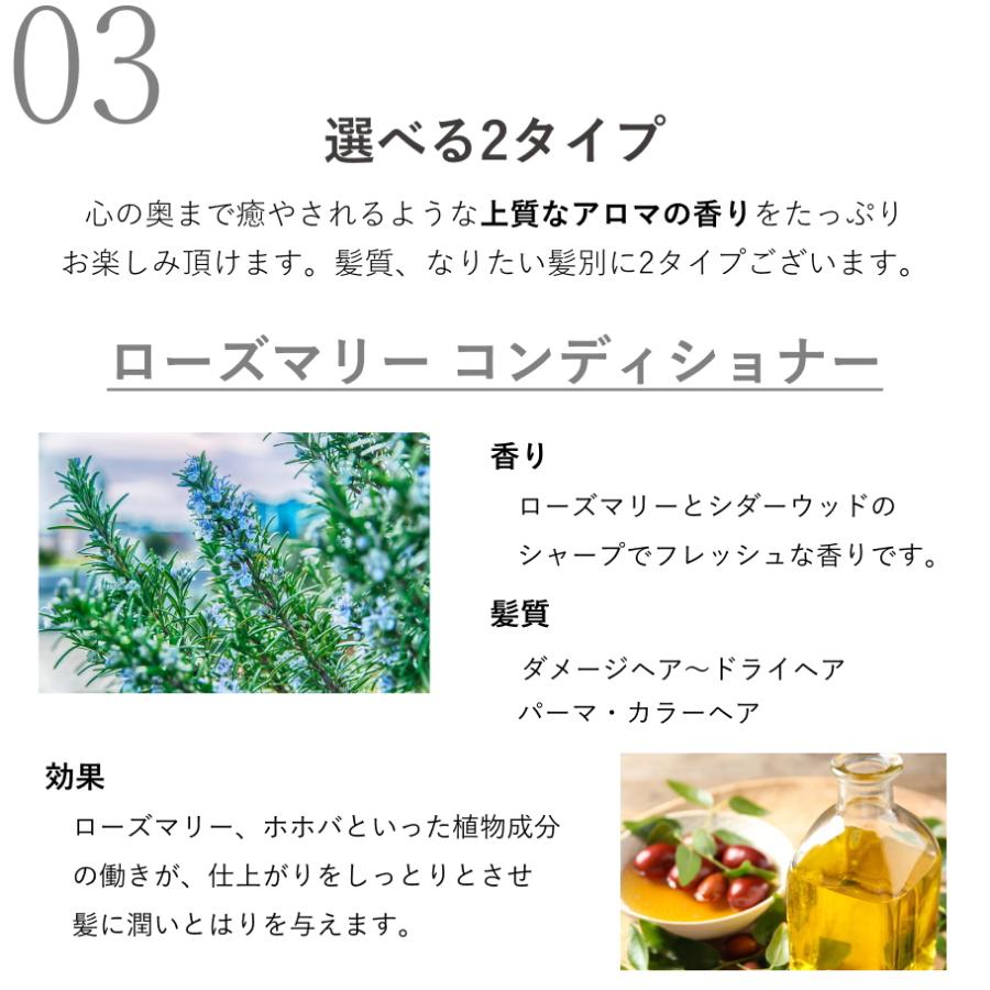 正規品 パーフェクトポーション オーガニック コンディショナー 200ml トリートメント 無添加 ノンシリコン | PERFECT POTION | 06