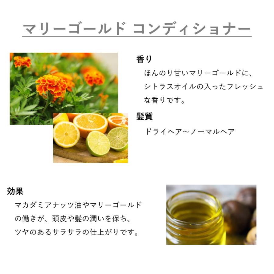 正規品 パーフェクトポーション オーガニック コンディショナー 200ml トリートメント 無添加 ノンシリコン | PERFECT POTION | 07