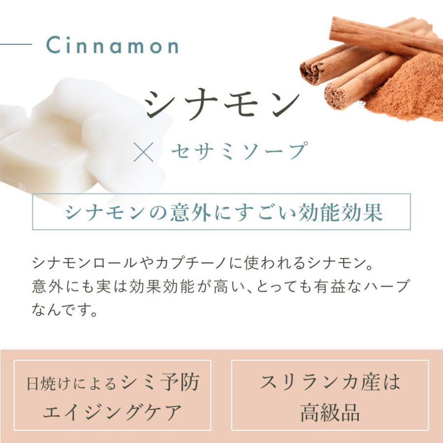 Premiumシリーズ 3種セット ビューティーセサミソープ スリランカナチュラル オーガニック 洗顔石鹸 固形 酵素入り | オーガニック | 05